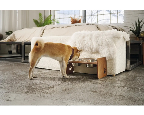 Pes jí ze zvýšené dřevěné krmné misky se dvěma nerezovými miskami