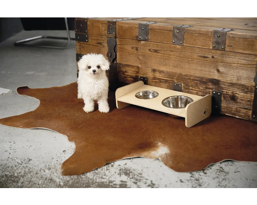 Bílý pes stojí vedle zvýšené misky na krmivo na koberci před dřevěnou bednou.