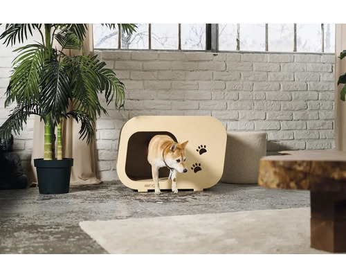 Světlý obývací pokoj s dřevěnou psí boudou a psem