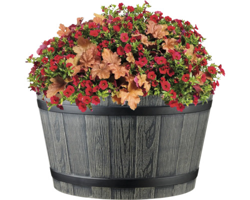 Květináč s červenými květy a okrasnými listy