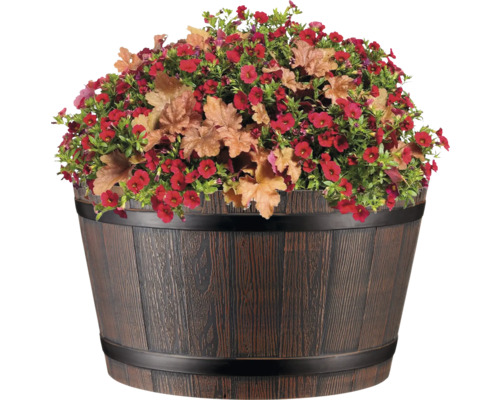 Květinový sud s červenými květy a rostlinami Heuchera