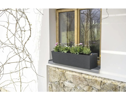 Okno s truhlíkem a kvetoucími rostlinami