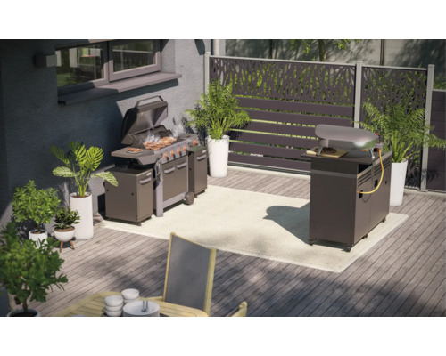 Venkovní prostor s grilem, pecí na pizzu, rostlinami a zástěnou