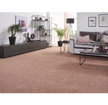 Obývací pokoj s kobercem, pohovkou, regály a dekorací