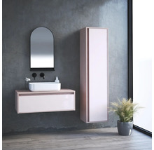 Moderní koupelna s umyvadlem, zrcadlem, vysokou skříní a rostlinou