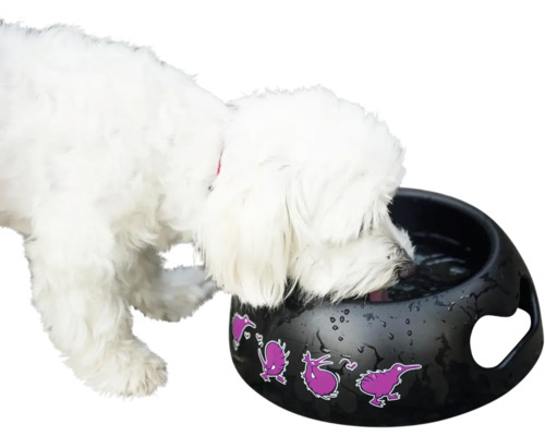 Pes pije z černé misky na vodu s motivem ptáka