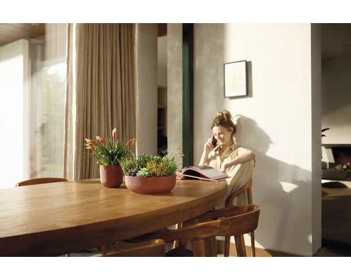 Světlý interiér s dřevěným stolem a osázenými květináči