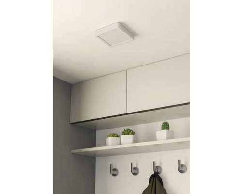 Stropní svítidlo v chodbě se šatnou, úložnou policí, háčky a okrasnými rostlinami.