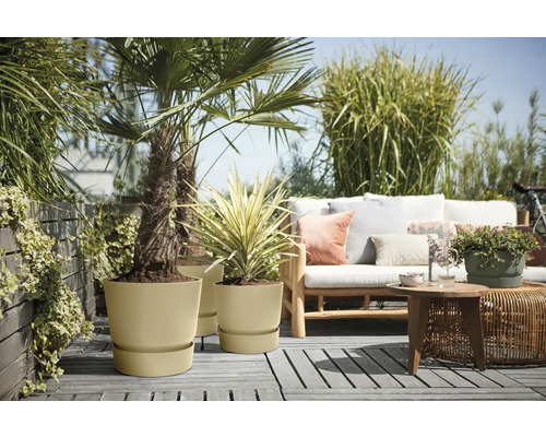 Terasa s rostlinami v květináčích a posezením