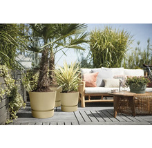 Terasa s rostlinami v květináčích a salonkovým nábytkem