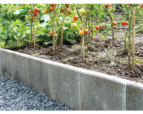 Betonový dílec Praktik PK 40 x 40 x 24,5 cm Zvýšený záhon s rostlinami rajčat a betonovým obrubníkem.
