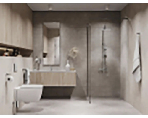 Koupelna se sprchou, umyvadlem a toaletou