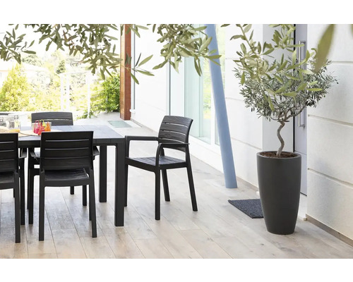 Terasa se zahradním stolem, židlemi a olivovníkem v květináči