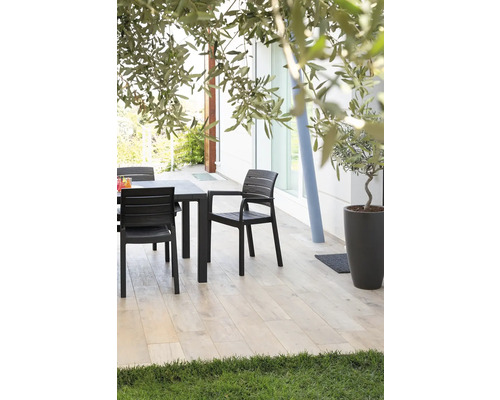 Plastová jídelní sestava venku s olivovníkem