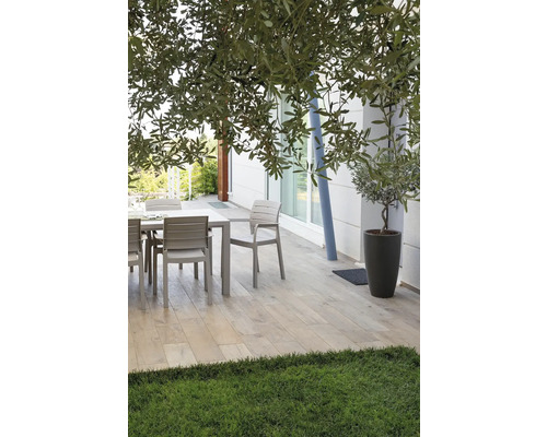 Terasa se zahradním stolem, židlemi a olivovníkem v květináči