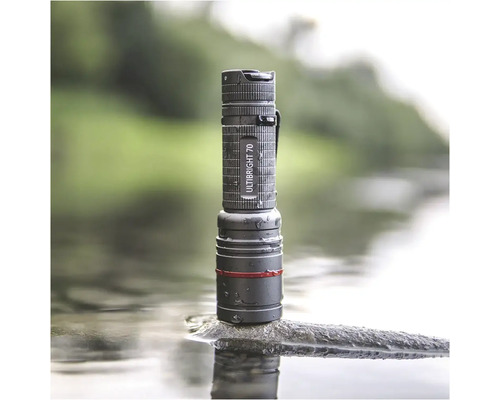 Pohled shora na šedou baterku stojící na kameni ve vodě.