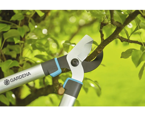 Zahradní nůžky stříhají větev