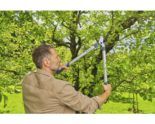 Muž používá zahradní nůžky na větve, aby ořezal větve na zahradě.