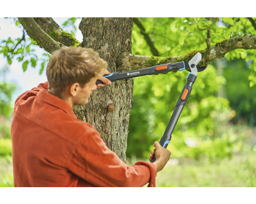 Muž stříhá větve stromů zahradními nůžkami.