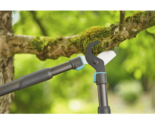 Nůžky na větve v provozu na větvi stromu