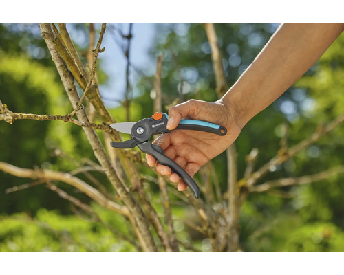 Zahradní nůžky při stříhání větve