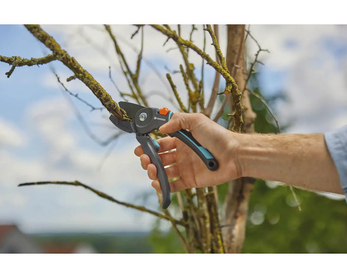 Osoba stříhá větev zahradními nůžkami.