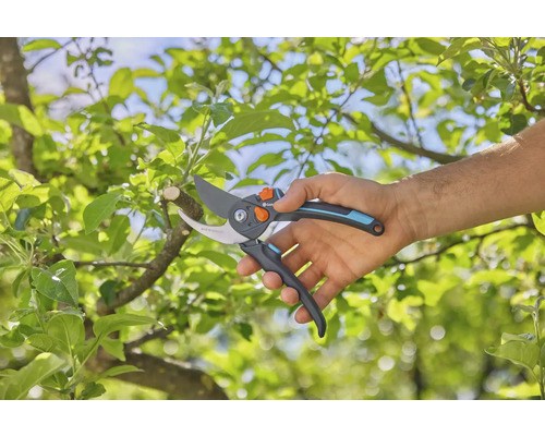 Zahradní nůžky v akci na stromě