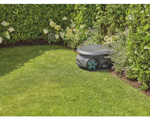 Robotická sekačka na trávníku vedle keřů a květin
