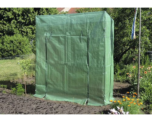 Fóliovník na zahradě.