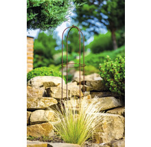 Pohled do zahrady s kovovou podpěrou pro rostliny