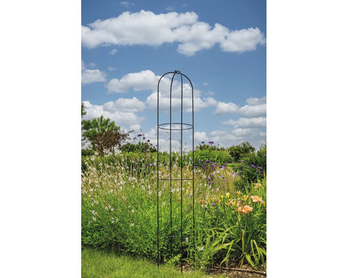 Kovová podpěra pro rostliny v zahradě s květinami a modrou oblohou