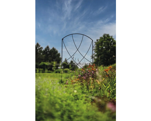 Kovová růžová brána v zahradě s rostlinami