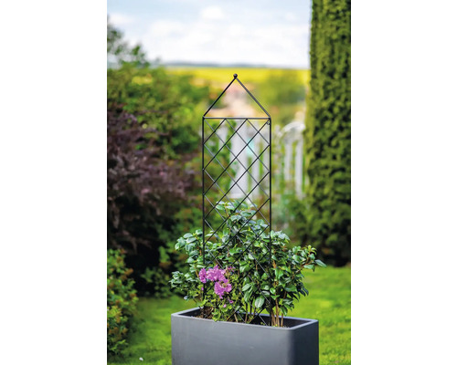 Květináč s popínavou podpěrou na zahradě