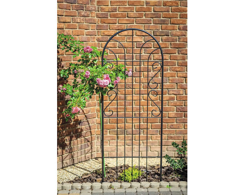 Kovová mříž na popínavé rostliny s růžemi před cihlovou zdí