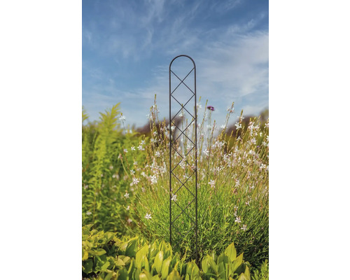 Kovová podpěra rostlin v zahradě mezi rostlinami
