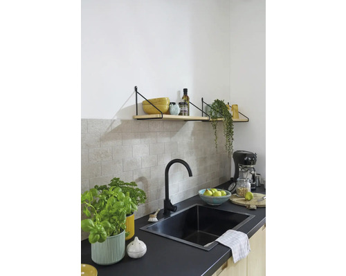 Kuchyňská scéna s dřezem, vodovodní baterií, policemi a dekorací