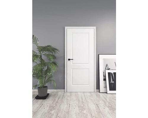 Dřevěné interiérové dveře, s černou klikou, pokojovou rostlinou a zarámovanými obrázky