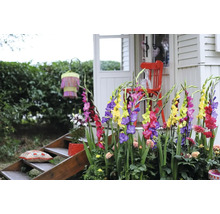 Dekorativní zahrada s mečíky, posezením a schodištěm