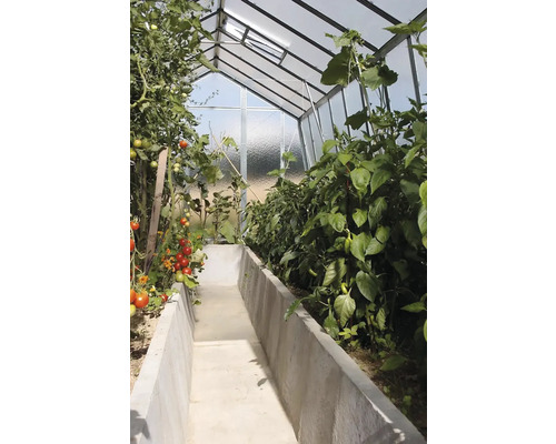 Vnitřní pohled na skleník s rostlinami rajčat a paprik