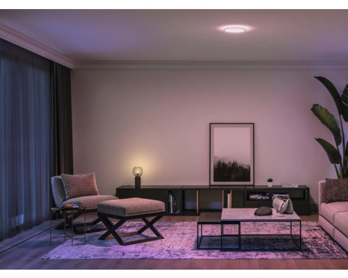 Moderní obývací pokoj se stropním svítidlem, sedacím nábytkem a dekoracemi.