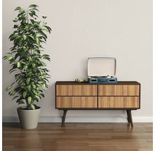 Pokojová rostlina v květináči vedle komody s gramofonem