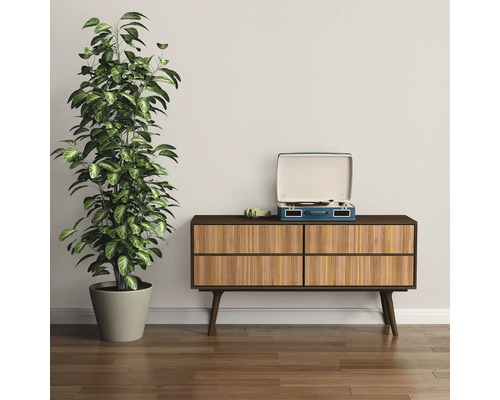 Pokojová rostlina v květináči vedle komody s gramofonem