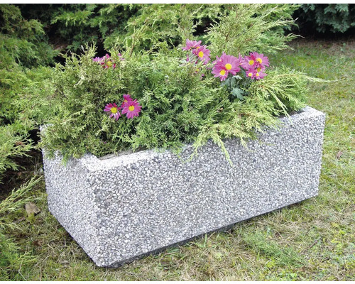 Obdélníkový betonový květináč s osázením