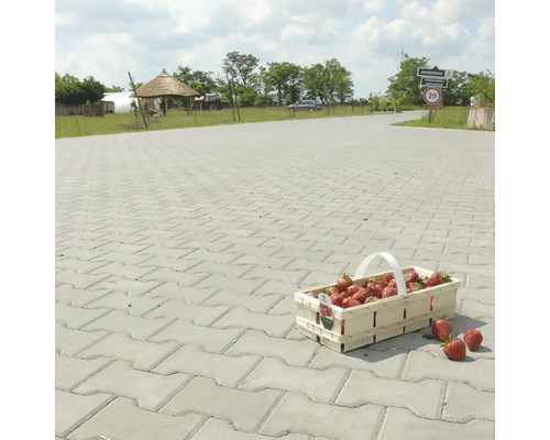 Zámková dlažba Íčko šedá 20x16,5x8 cm Košík jahod na dlážděné cestě