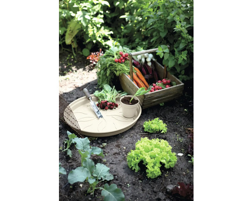Zeleninová zahrada s ředkvičkami, mrkví, salátem a miskou na rostliny