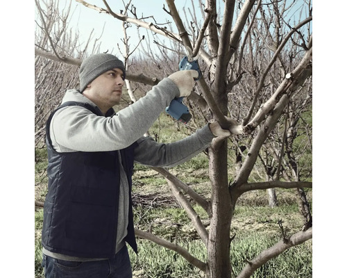 Muž prořezává strom elektrickými zahradními nůžkami.