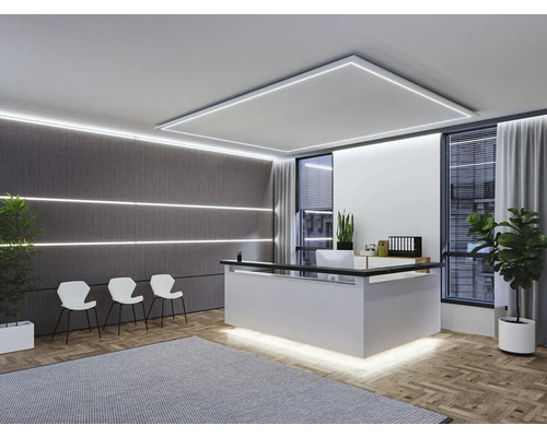 Recepce s recepcí, židlemi, rostlinami a osvětlením