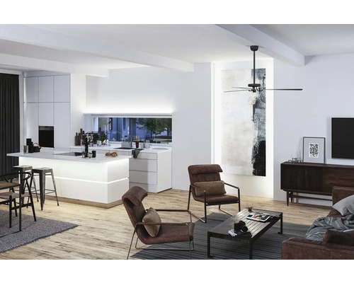 Světlý obývací pokoj s kuchyní, křesly a stropním ventilátorem