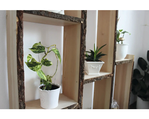 Dekorativní regál s rostlinami v květináčích