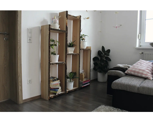 Obývací pokoj s otevřenou dřevěnou policí pro ukládání knih a rostlin